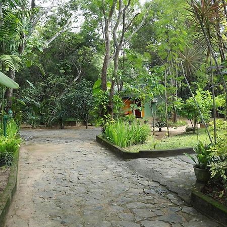 Jays Holiday Resort Habarana Esterno foto