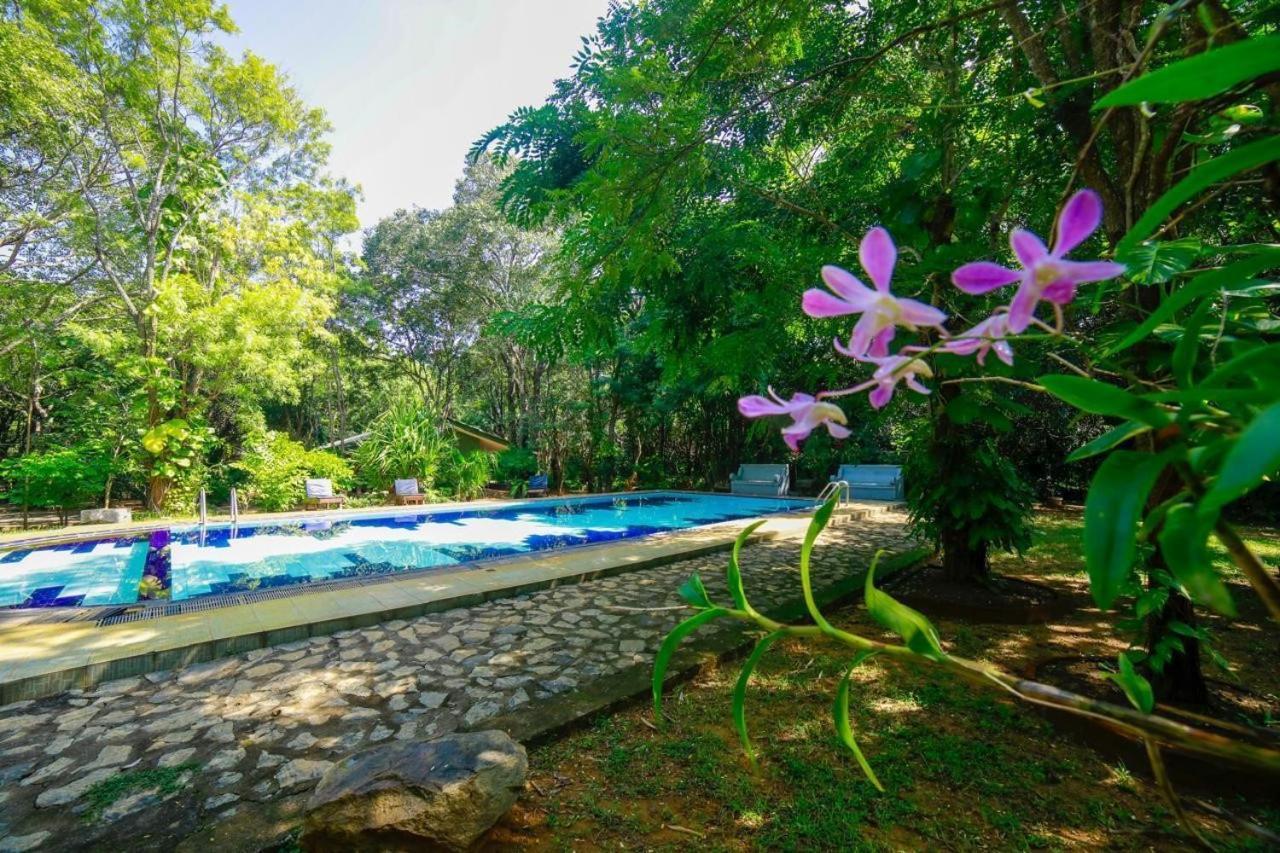 Jays Holiday Resort Habarana Esterno foto