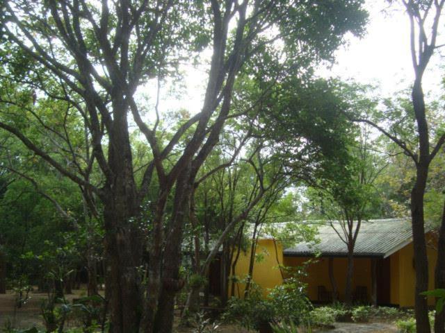 Jays Holiday Resort Habarana Esterno foto