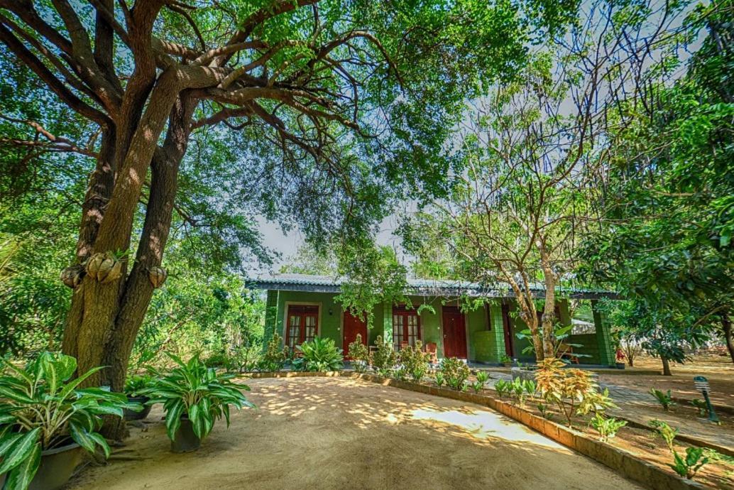 Jays Holiday Resort Habarana Esterno foto